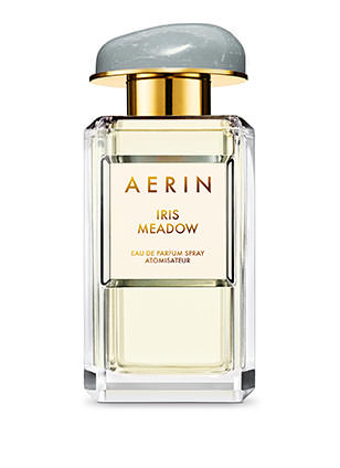 AERIN Iris Meadow